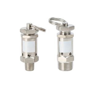 BSPT/NPT SS304 Stainless Steel 1/4" 1/2" <b>Mini</b> Exhaust Male Adjustable Air Relief <b>Compressor</b> Safety Vent Available With BSPT/NPT - Product Image 5