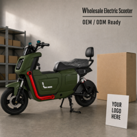 Nouveauté 2025 – Trottinette Électrique 60V 1000W à Double Siège avec Frein à Tambour – Vente en Gros, Fournisseur d'Usine OEM/ODM pour la Livraison de Marchandises