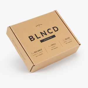 Logo tùy chỉnh in phẳng gói gấp nâu kraft giấy bao bì với cá nhân chèn sóng chết cắt bưu phẩm vận chuyển hộp - Product Image 2