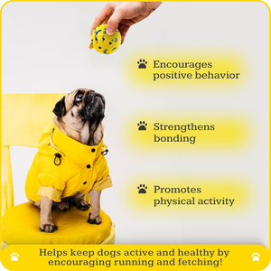 Dog Tooth Cleaning Eco-Friendly Plastic TPR <b>Bite</b>-Resistant Interactive Training Chew Ball Durable Pet Toy - Product Image 4