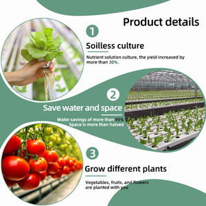 Serres Agricoles Gouttières Hydroponiques Système Hydroponique pour Laitues Canal NFT Hydroponique - Product Image 3
