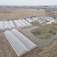 Serre agricole en film plastique à simple travée avec système hydroponique NFT à vendre