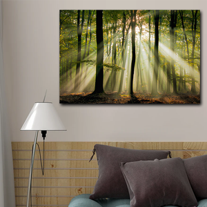 Lienzo Impreso en Oferta, Bosque Tranquilo con Hojas Iluminadas por el Sol, Hermoso Bosque, Fondo Natural, Escena Dinámica del Bosque - Product Image 3