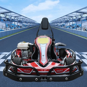 Precios de Go Karts Nuevos 2024, Go Kart Profesional de Cuatro Tiempos de Fábrica - Product Image 4