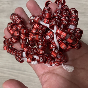 Multi-Size Ondersteuning Laser Gravure <span class=keywords><strong>Machine</strong></span> Love <span class=keywords><strong>Bird</strong></span> Canary Poot Ring Metalen Vogel Accessoires Ringen Voor Vogels - Product Image 4