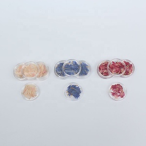 M045 <span class=keywords><strong>fiori</strong></span> in <span class=keywords><strong>fiordaliso</strong></span> naturale <span class=keywords><strong>fiori</strong></span> <span class=keywords><strong>fiori</strong></span> <span class=keywords><strong>fiori</strong></span> <span class=keywords><strong>fiori</strong></span> <span class=keywords><strong>fiori</strong></span> <span class=keywords><strong>fiori</strong></span> <span class=keywords><strong>fiori</strong></span> per Nail artigianato creazione di gioielli gioielli cornice in resina minimo 50 pz pasqua - Product Image 3