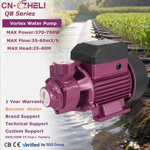 Bomba de Agua Periférica ZHELI 0.25 0.5HP Eléctrica de Vórtice Pequeña de Latón y Hierro Fundido, <span class=keywords><strong>Mejor</strong></span> <span class=keywords><strong>Precio</strong></span> 220V, Bomba de Agua QB60 1 <span class=keywords><strong>HP</strong></span> - Product Image 1