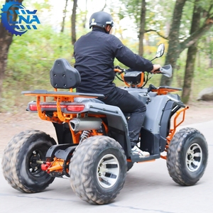 <span class=keywords><strong>Quad</strong></span> ATV LNA 200cc pour adultes, couleurs personnalisables, usage commercial, économique et abordable - Product Image 4