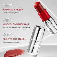 Rouge à lèvres mini capsule personnalisé avec logo, tube argenté, waterproof, longue tenue, hydratant, haute pigmentation, fini velours mat, maquillage pour les lèvres en gros