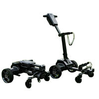 Carrito de Golf Eléctrico G5, la Mejor Versión, Envío Gratis, Atractivo, Disponible, con Batería Extraíble, Tracción Trasera, Compacto