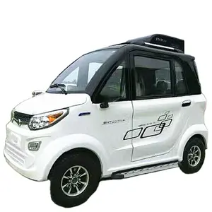 Hot Sell Car Electric Adult 2 Seats for Sale