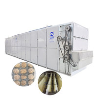 Machine commerciale de séchage de nourriture pour la ligne de séchage de machine de fabrication de nouilles de riz shirataki de bâton séché instantané de pâtes