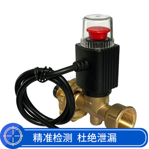 Yd-Jy-201 Gas Cylinder Solenoid Shut Off Valve Lpg 1.6Mpa Dc9-12V Brass Body For Liquefied Petroleum Gas - Product Image 4
