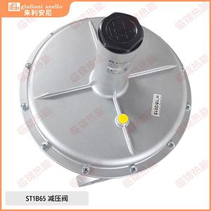 Válvula Reguladora de Presión de Gas de Seguridad con Diafragma Giuliani ST1B65 ST1B80 ST1B100 ST1B125 Válvula Reductora de Presión - Product Image 3