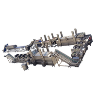 Aangepaste Frietjes Aardappelchips Maken Machine Volautomatische Bevroren Frietjes Friet Friet Productie Complete Verwerkingslijn