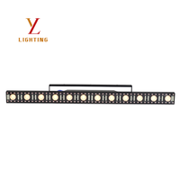 Lumière matricielle 100W 12pcs 5W blanc chaud avec LED 5730 blanc 5050 RGB DMX RDM activée par le son pour effets de scène