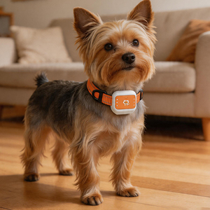 Collier GPS pour <span class=keywords><strong>chien</strong></span> et chat, traceur pour animaux de compagnie, anti-perte, suivi des animaux, étanche, télécommande pour le suivi des chiens et des chats, positionnement des animaux - Product Image 6