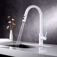 Robinet de cuisine à pulvérisation extractible de style moderne, couleur blanche, luxe pour la maison