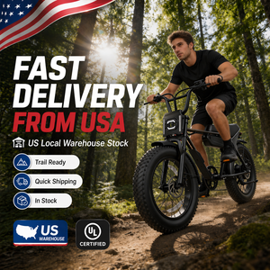 Vélo électrique rétro US Stock, pneus larges, 750W, OEM/ODM, <span class=keywords><strong>logo</strong></span> personnalisé, pour montagne, sentiers, neige, sable, <span class=keywords><strong>jungle</strong></span>, tout-terrain - Product Image 1