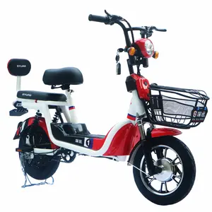 New Model 48V 350W 14 Inch Adult Light Weight Scooter Electric BikeとPedal Assist
