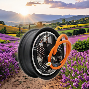 Motor sin Escobillas DKYS de 72V 12"50H6000W, Apto para Motores de Motocicleta de Bajo Consumo, Color Titanio 12"50H6000W-W Magn - Product Image 3