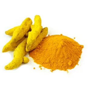 Supplier 1 kg Turmeric Powder Price Spray Dried Turmeric Root Extract Powder