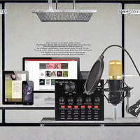 Ensemble de microphones filaires avec trépied pour diffusion en direct en anglais, podcast de bureau, mixage, carte son mobile, connecteur XLR
