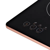 Bonne qualité Basse Tension Mini Ir Maison Utilisé Plaque à Induction Cuisinière à Induction