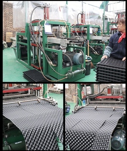 Plaques de Semis en <span class=keywords><strong>Plastique</strong></span> à 105 Alvéoles, Qualité Supérieure, Direct Usine – Plaques de Semis 105 Alvéoles en Matériau PET - Product Image 6