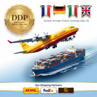 Service de transport aérien international professionnel Chine-Europe, service logistique DDP avec dédouanement, fret maritime porte-à-porte