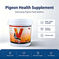 Pilules OEM ODM idéales pour la santé des pigeons, suppléments personnalisés et emballages sur mesure, approvisionnement direct pour les éleveurs de pigeons en gros.