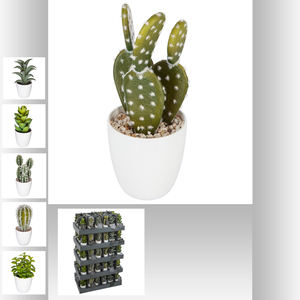 Vaso per Cactus H 18CM - Product Image 1