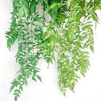 Plante Artificielle Suspendue, Feuillage Pointu Multicolore Vert et Rouge, Décoration Murale pour Salon, Bureau, Maison, Plante Artificielle d'Intérieur