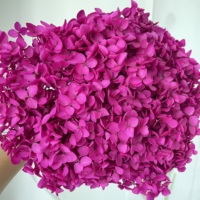 2024 ins paling populer ungu alami asli merah biru putih hijau merah muda panas hydrangea batang panjang diawetkan bunga hydrangeas kering
