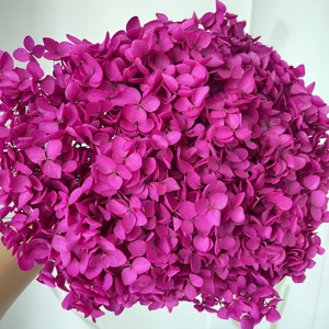 2024 ins il più popolare vero naturale <span class=keywords><strong>viola</strong></span> rosso <span class=keywords><strong>blu</strong></span> bianco verde rosa caldo ortensia lungo gambo conservato <span class=keywords><strong>fiori</strong></span> di ortensie essiccate - Product Image 2