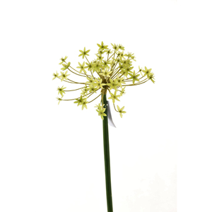 Corona Floral Artificial Verde de 62 cm de la Marca PA, Hecha en China, para Graduación, Día de la Madre, Pascua, Acción de Gracias, Navidad - Product Image 1