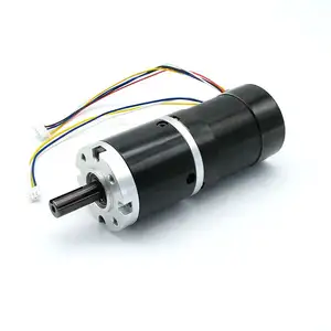 450kg. CM 5rpm motor planetario sin escobillas de alto par 24V 100W motor bldc de alta potencia