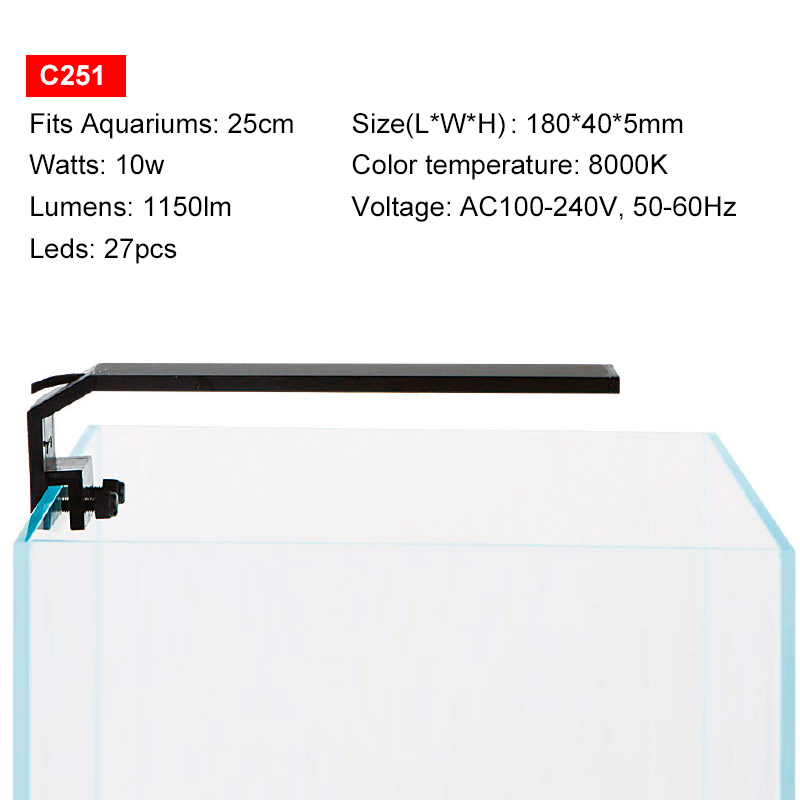 C251