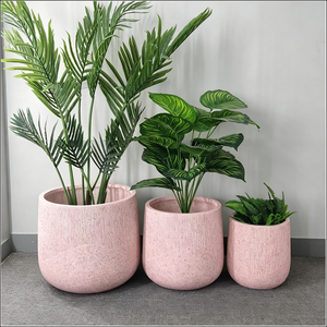 Maceta Minimalista Nórdica, Florero Creativo, Maceta Pequeña para Plantas Acuáticas, Adorno para Balcón y Hogar - Product Image 1