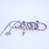 Cables de Compensación para Termopares, Cables de Sensor de Temperatura de Platino PT100 Tipo J/T/N/K Personalizados
