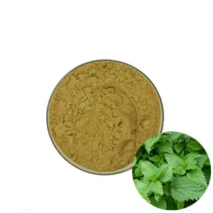 Food Grade Nettle Leaf Extract Nettle Root Extract Powder Nettle Extract
