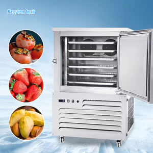 Réfrigérateurs à <span class=keywords><strong>congélateur</strong></span> supérieur, congélateurs horizontaux, congélateurs à air, refroidisseur, 15 plateaux, excellent pour la fabrication de gelato et la congélation multiple - Product Image 5