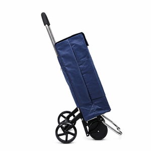 Chariot de courses pliable élégant et personnalisé, chariot à provisions portable avec roues pour supermarché, maison et usage extérieur - Product Image 2