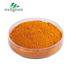 Wellgreen Safflower Extract E50 Natural Safflower Yellow Color For Food Addtive