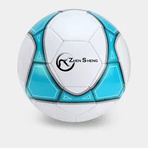 Zhensheng Fabriek Aangepast Formaat 5 Promotie Gepersonaliseerde Voetbal Met Logo