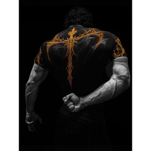 Camiseta Deportiva para Hombre, Estilo <span class=keywords><strong>Diablo</strong></span>, Marca de Moda Americana Brdivinity, de Secado Rápido, Elástica, Transpirable, Ajustada, con Estampado de Letras - Product Image 1