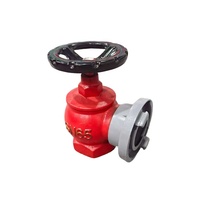 Boîte d'incendie intérieure prête à l'emploi, à valve unique, peinte en rouge, avec service de support pour les projets d'installation en entrepôts