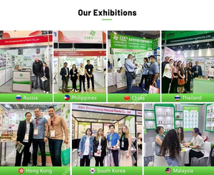 Fabricante de Aceites Capilares Naturales al por Mayor, Aceite de Cebolla Roja Orgánico 100% Puro <span class=keywords><strong>para</strong></span> Productos de Crecimiento Capilar |   Grado Terapéutico, Kg - Product Image 6