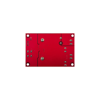 TPA3116 Dijital Güç Amplifikatörü Kartı 100W Mono BTL Çıkışlı Ses Amplifikatörü Modülü DC12-24v 3 Ay Garanti