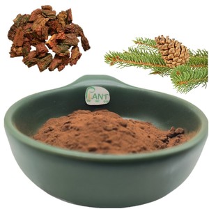 Extrait d'écorce de pin de haute qualité, naturel, 95% de proanthocyanidines, extrait d'écorce de pin maritime français 95% OPC, poudre de proanthocyanidines - Product Image 5